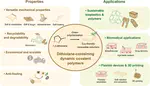 Harnessing dynamic covalent chemistry in sustainable biomass-based polymers: synthesis, dynamic functionalities and potential of dithiolane-containing supramolecular polymers