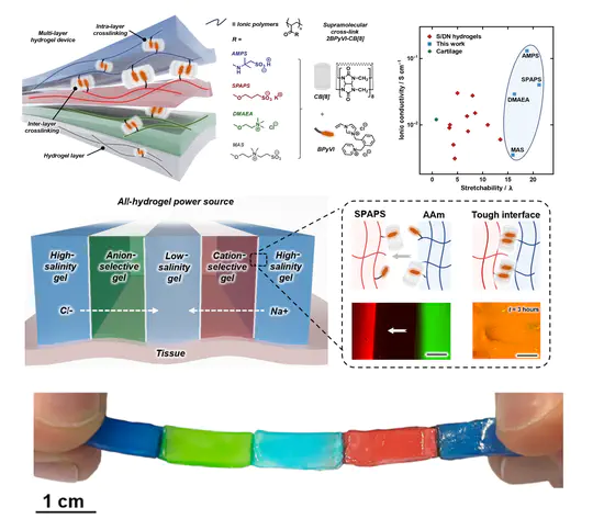 Highly stretchable dynamic hydrogels for soft multilayer electronics